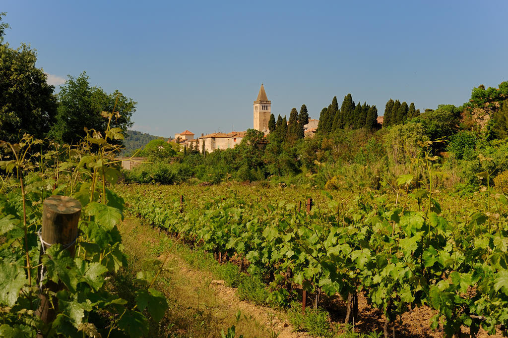 Les Jardins De Saint Benoit By Popinns Exterior photo
